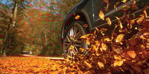 auto-driving-through-leaves-on-a-crisp-autumn-day