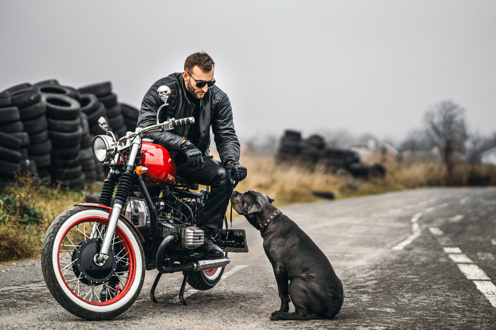motorcycle ride with a dog