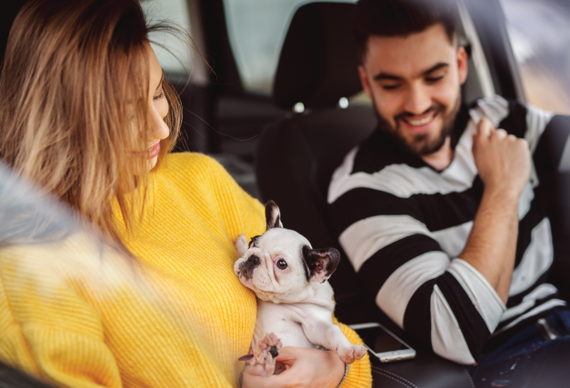 couple-with-cute-puppy