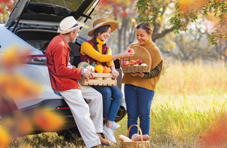 fall-picking-apples-happily