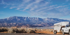 horse-trailer-by-lake