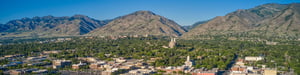 logan-in-summer-banner