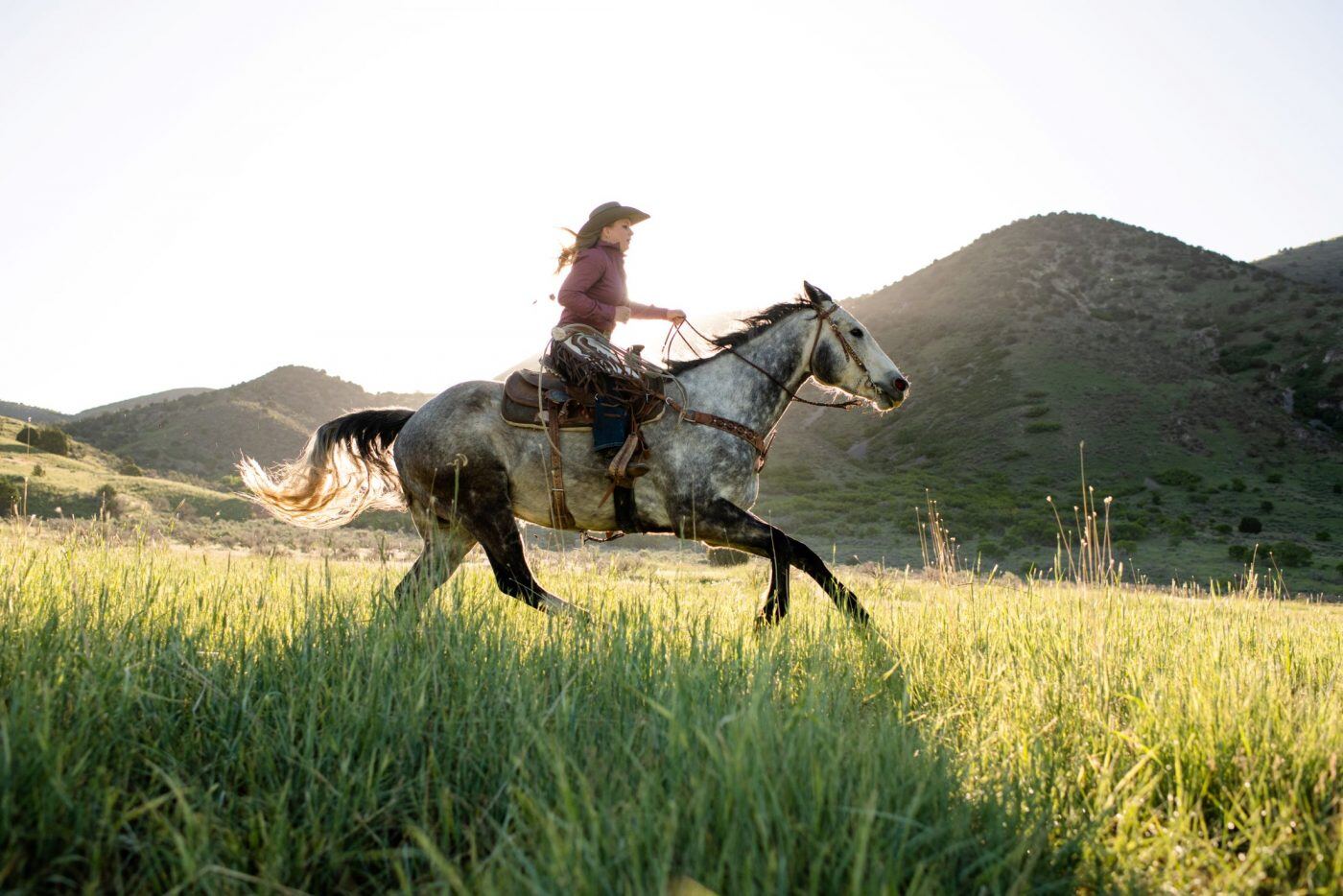 person riding horse in the summertime person riding horse in the summertime