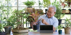 retiree_hobby_plants