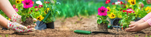 two-people-gardening-header
