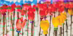 upcycled bright flowers