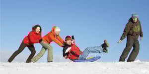 winter-friends-pulling-sled