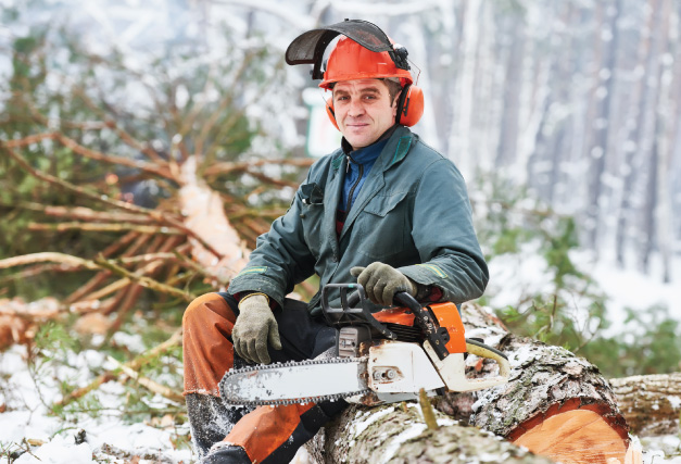 winter-person-working-in-the-forest