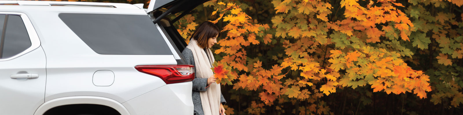 Member enjoying their new car during autumn