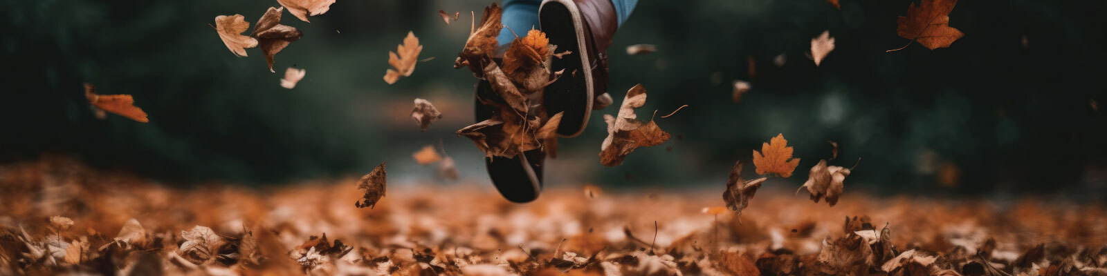 autumn-jumping-leaves