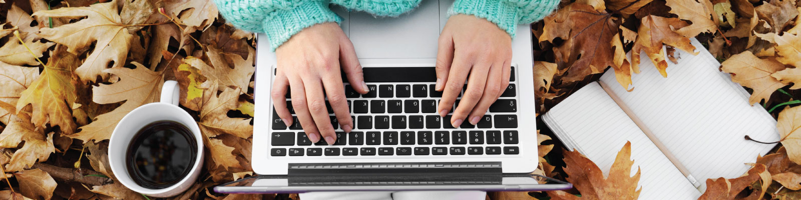 on a laptop in autumn