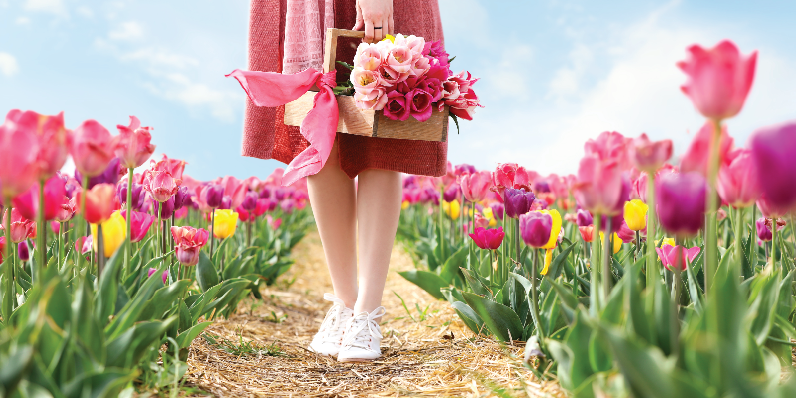 spring-tulip-garden