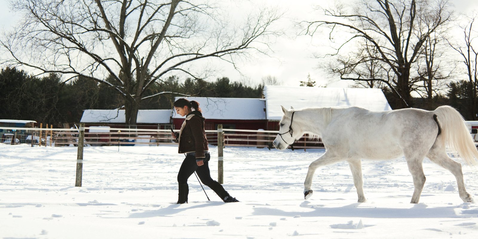 person with horse in winter