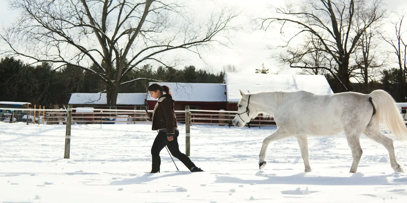 winter-person-with-horse