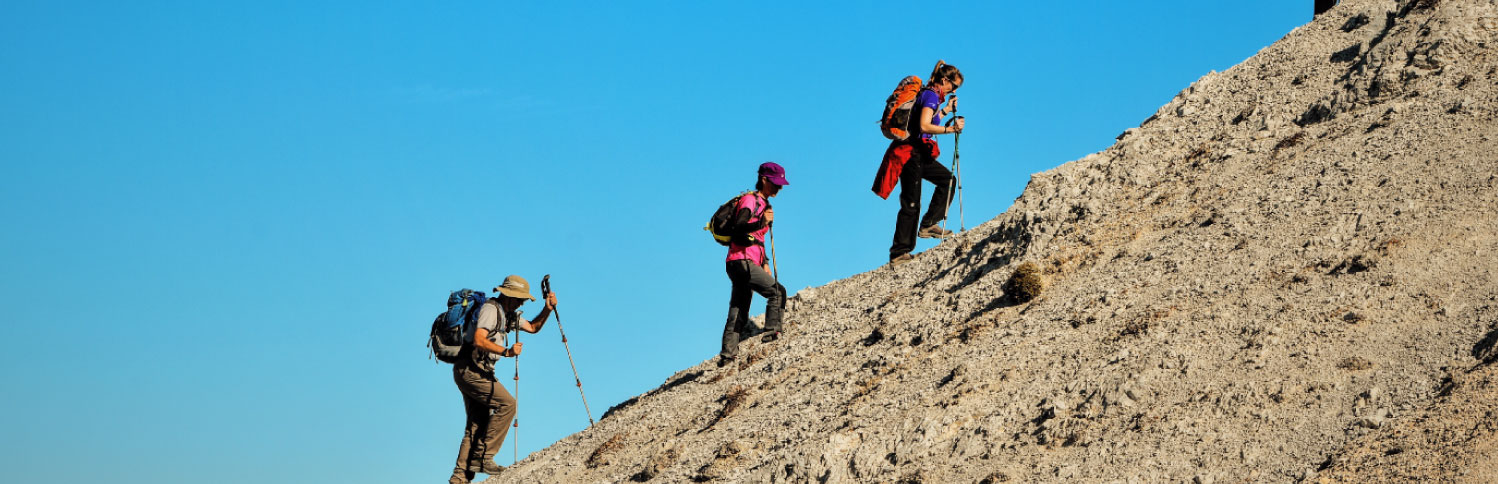 hikers going up a mountain