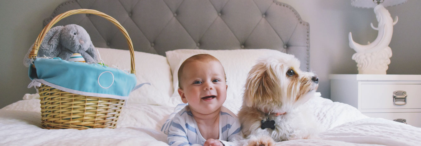 baby and fur baby on a clean white bed