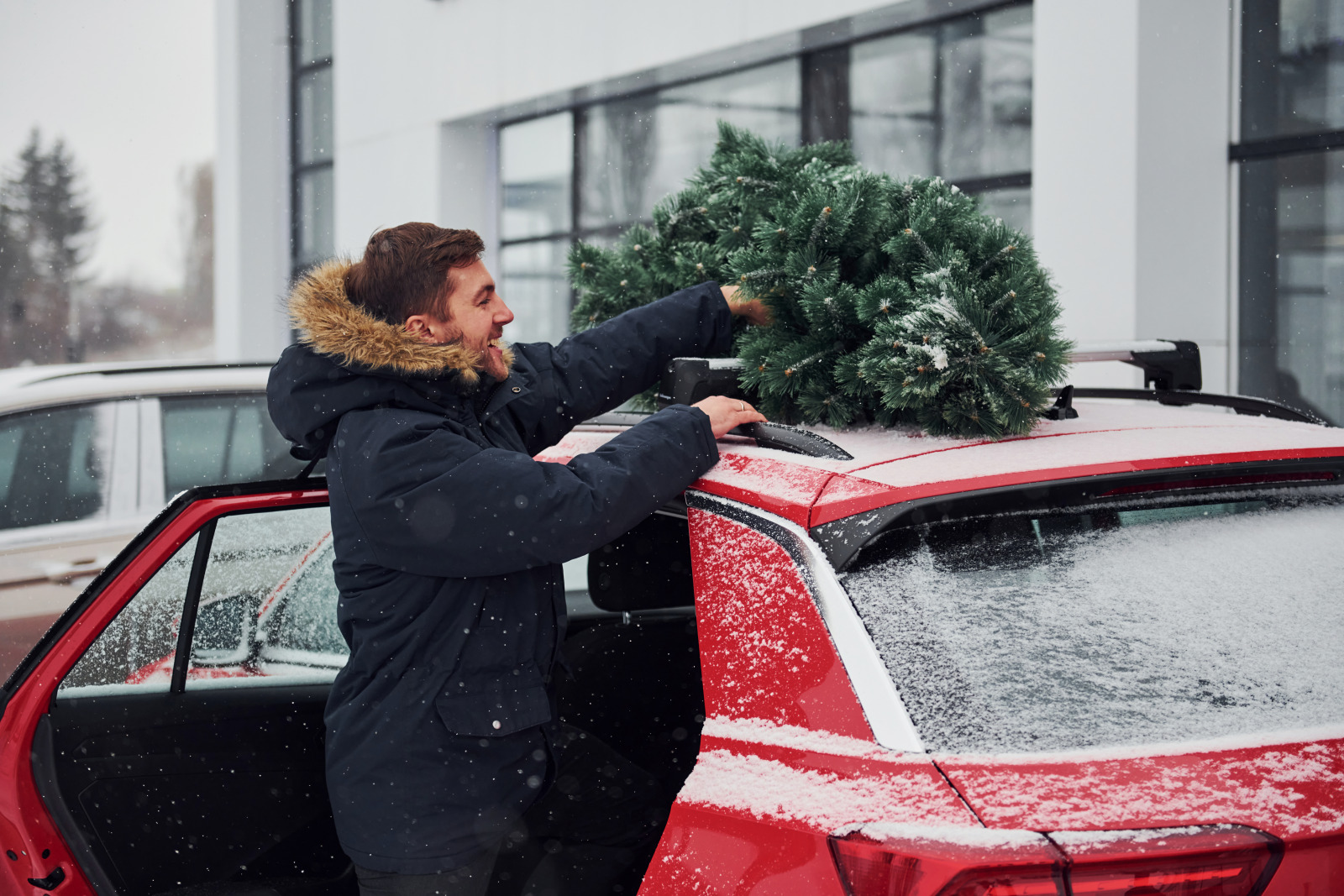 situating a christmas tree on top of a new car