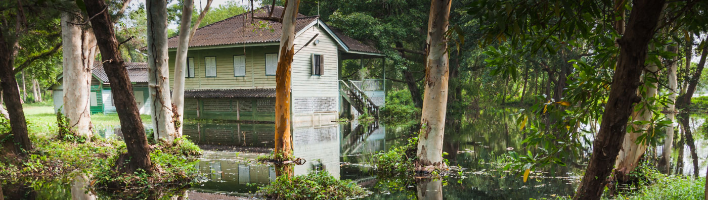 a home in the woods flooded