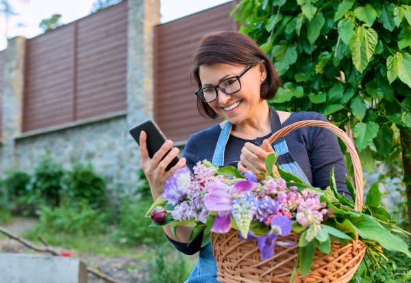 person looking at phone while picking summer flowers